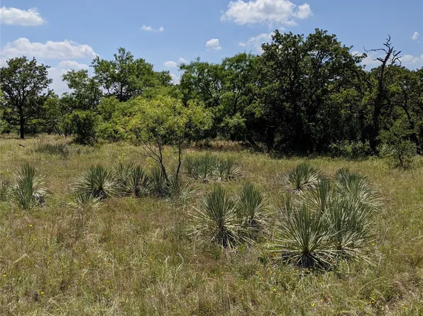 0 County Road 271, Rising Star, TX 76471