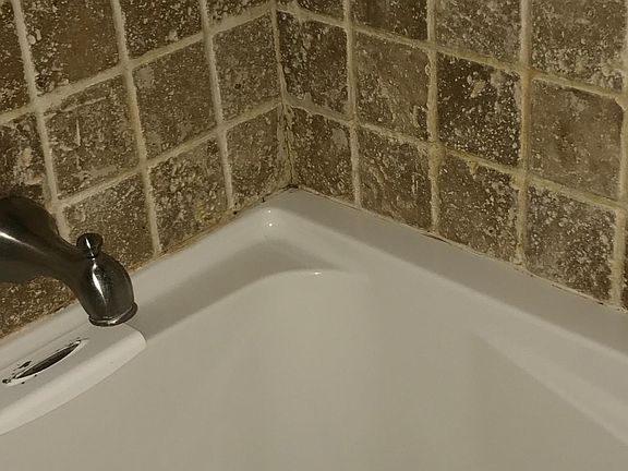 Bathtub