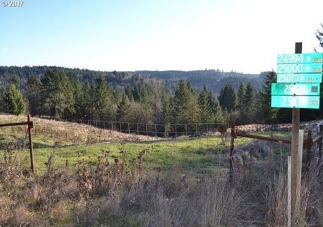 2nd image of 24990 S Newkirchner Rd