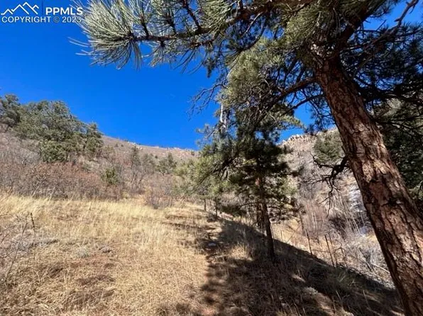 Rampart Terrace Rd, Cascade, CO 80809