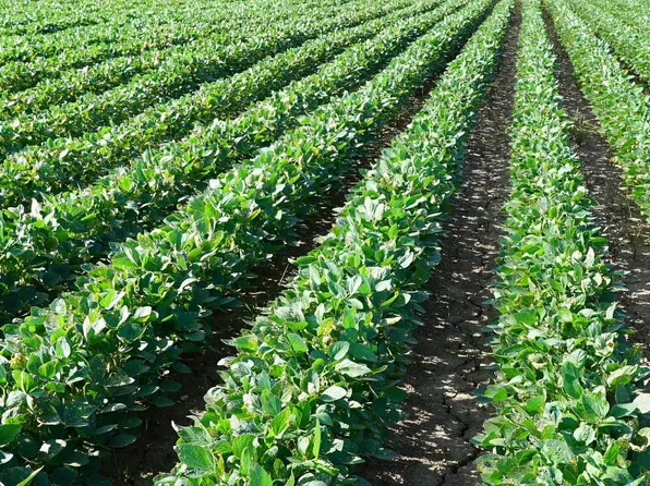 (undisclosed Address), Marianna, AR 72360