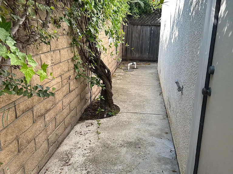 Side Yard