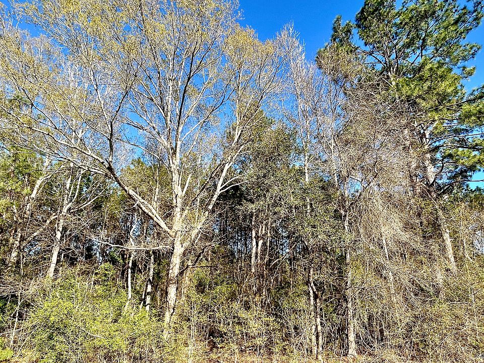 2nd image of Highway 464