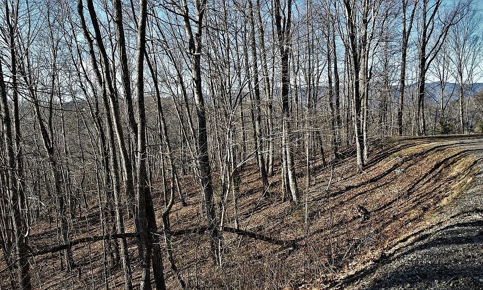 1st image of LOT 52 Waccamaw Trl