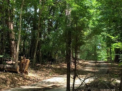 2nd image of 5668 Red Hollow Rd