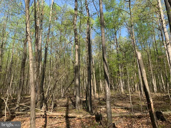 Black Bear Rd, Needmore, PA 17238