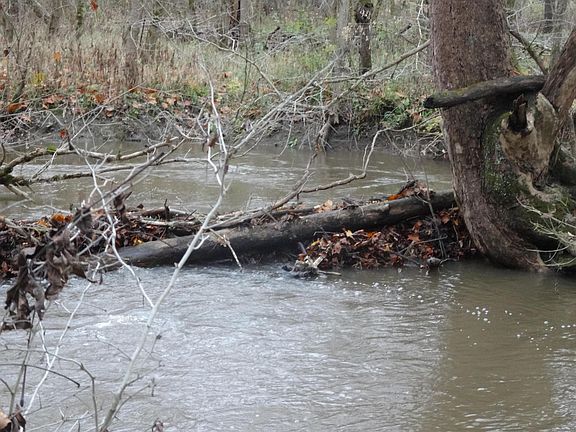 3rd image of 0 County Road 23