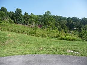 4th image of 0 Cardinal Ln