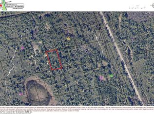 0 W Of Rail Trl, Mims, FL 32754