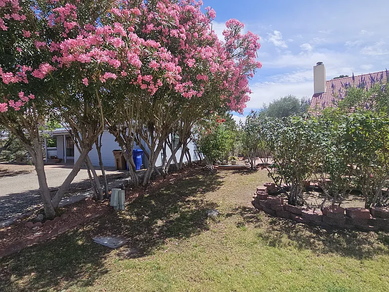 650 Frontier Dr — Photo 22