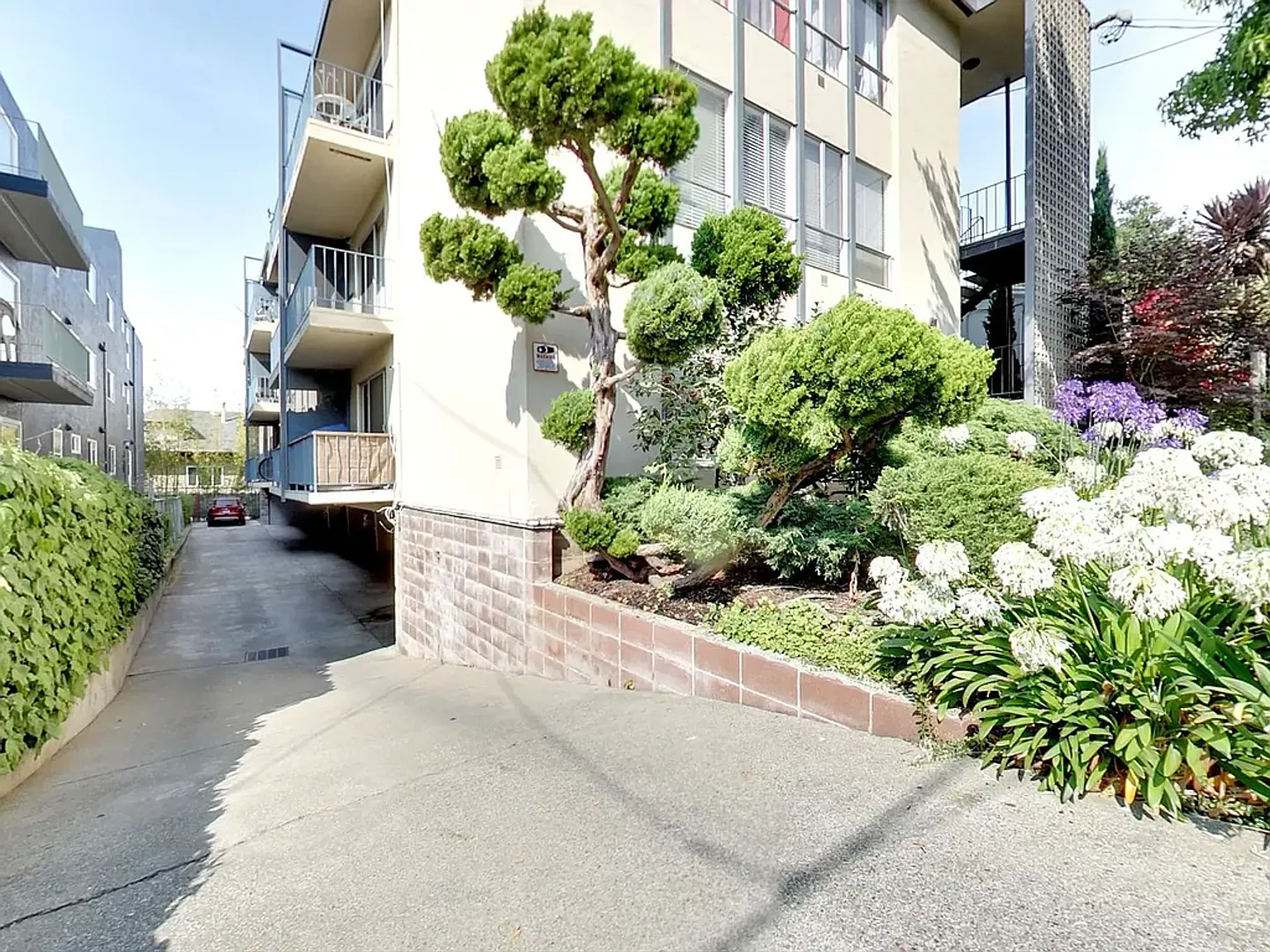 Far Side Cap — Photo 1