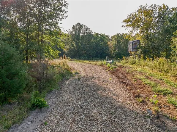 23 Hopkins Rd, Perry, MO 63462