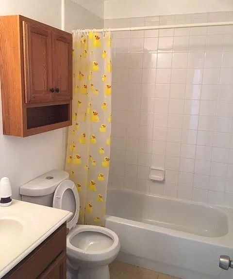 12415 Greensbrook Forest Dr — Photo 4