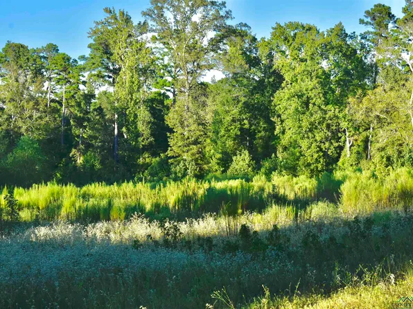 Tbd Noonday Rd, Hallsville, TX 75650