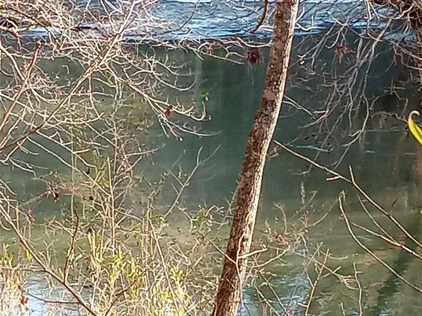 Womack Rd, Mill Spring, NC 28756