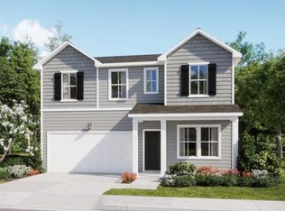 730 Blue Mistflower Dr, Moncks Corner, SC 29461