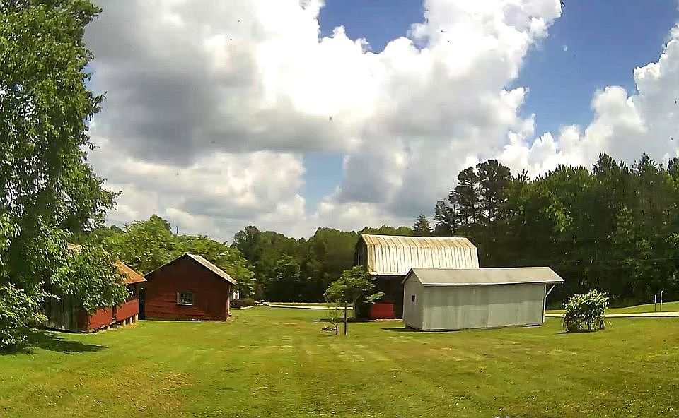 Back yard