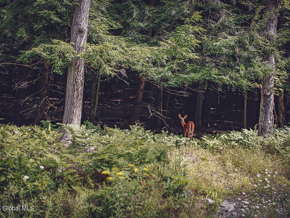 2nd image of 00 Totem Lodge Road Road