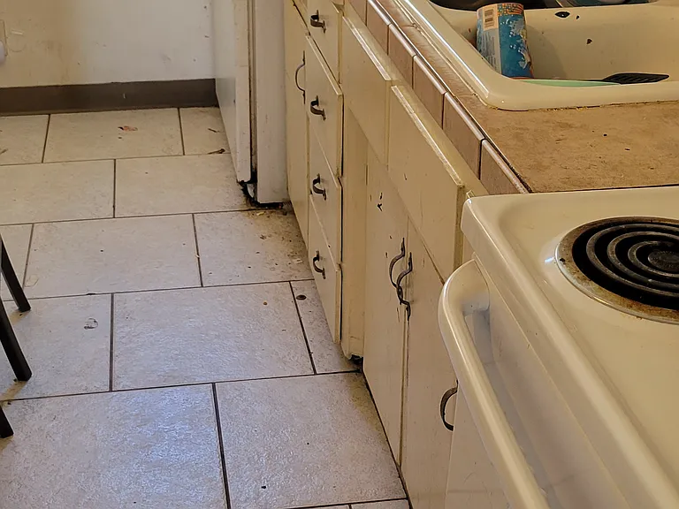 122 Quandt Pl #B — Photo 3