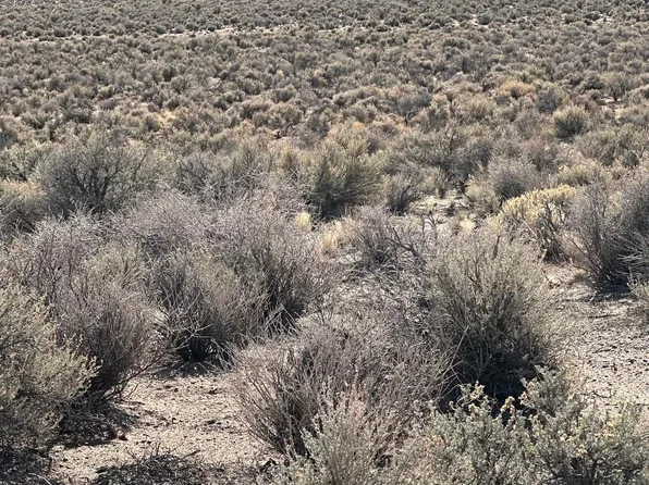 355 Ludwig Ln, Smith Valley, NV 89430