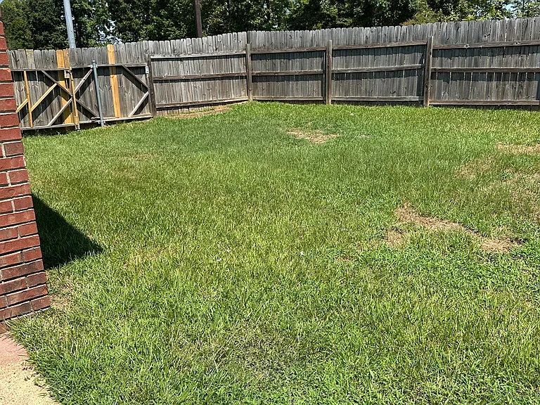 802 Johnston Cv — Photo 24