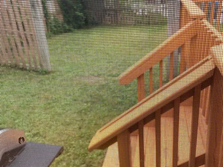 1838 Lusby Pl — Photo 38