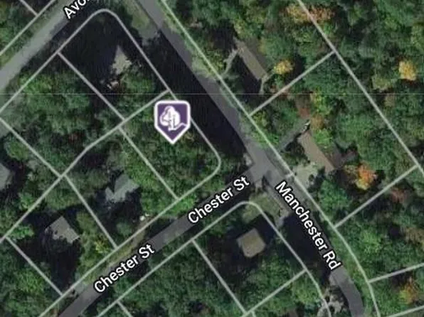 Chester Street, Rock Hill, NY 12775