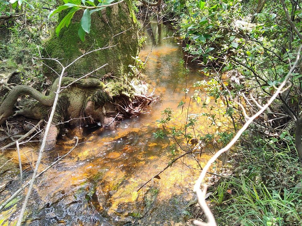 2nd image of Three Rivers Rd