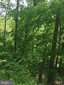 6897 Oakcrest Ct, New Market, MD, 21774