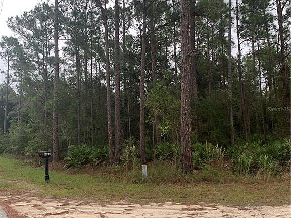 3rd image of Oil Well Rd