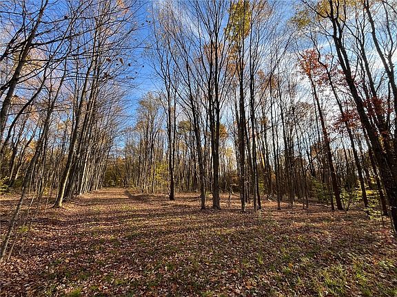 4th image of Nys Rte Lot 98-1