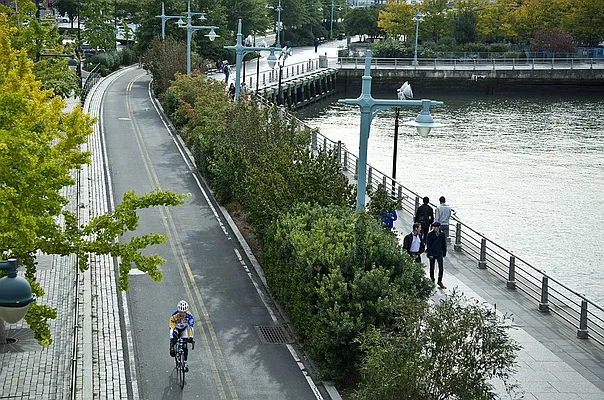 Rented by Mirador Real Estate | media 43