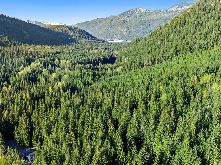 2982 Kachess Lake Rd — Photo 39