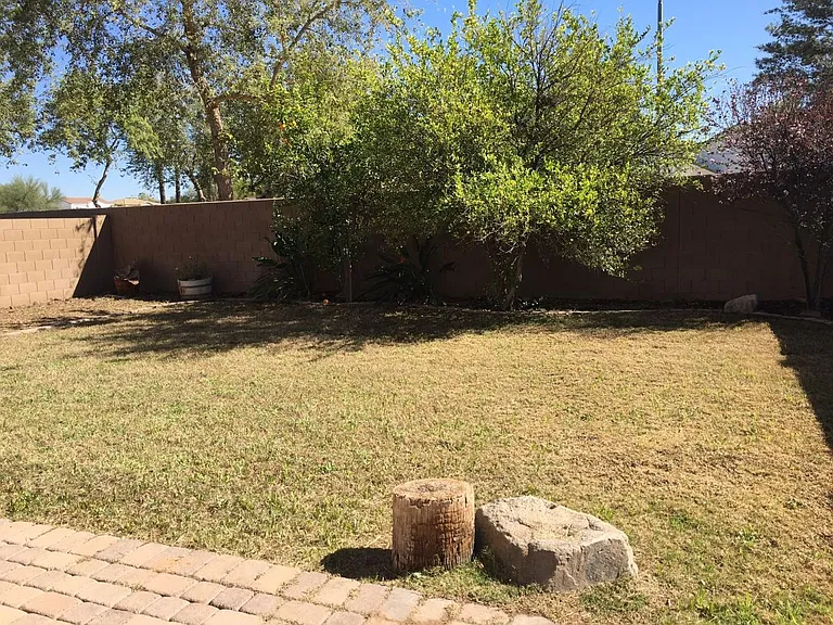 Backyard