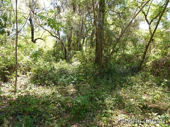 5th image of 133 Little Orange Lake Dr