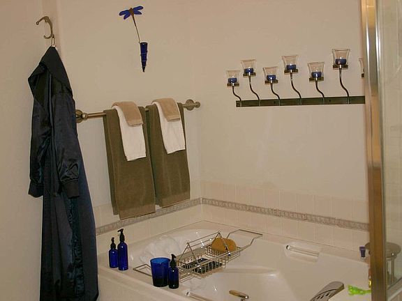 Master bathroom tub and shower