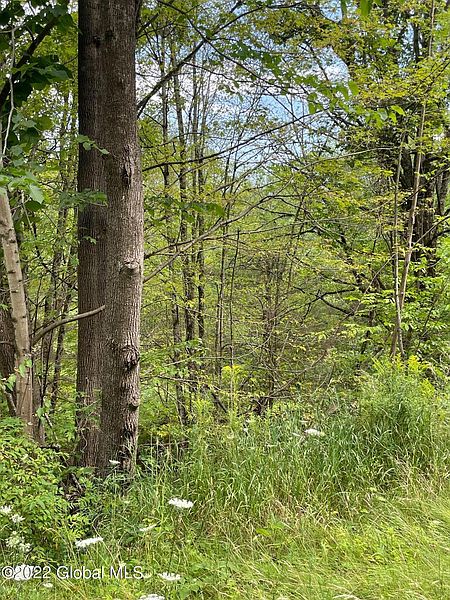 2nd image of LOT 4 PICKLE HILL ROAD