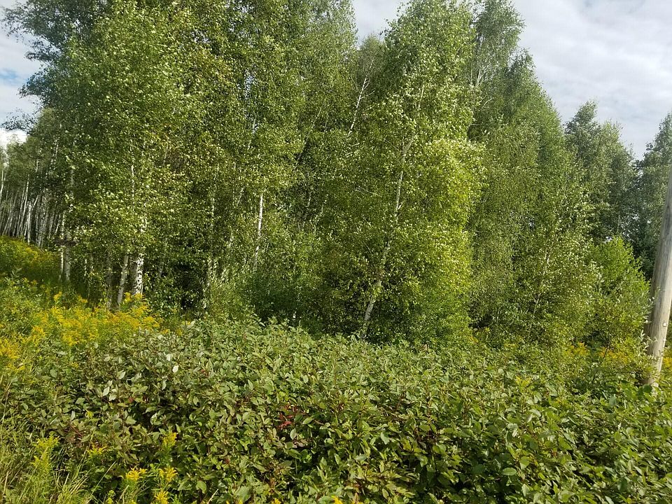2nd image of M1 L9A Sawyer Road