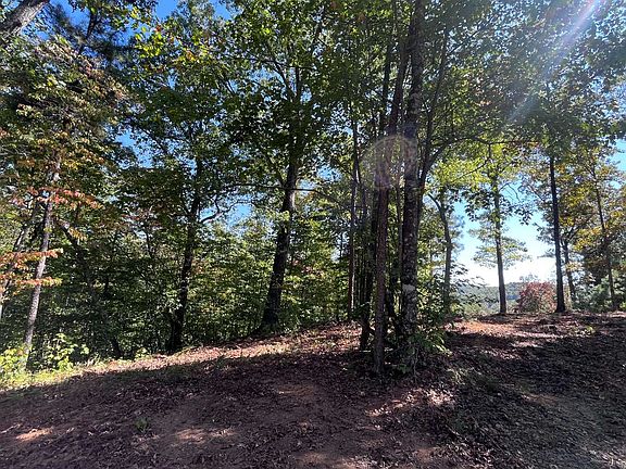 5th image of LOT 56 High River Landing Ct