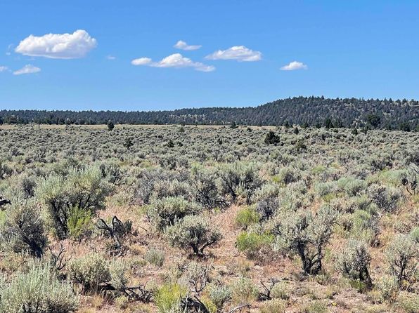 Benjamin Lake Rd #502, Christmas Valley, OR 97641