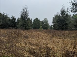 Curley Rd, San Antonio, FL 33576