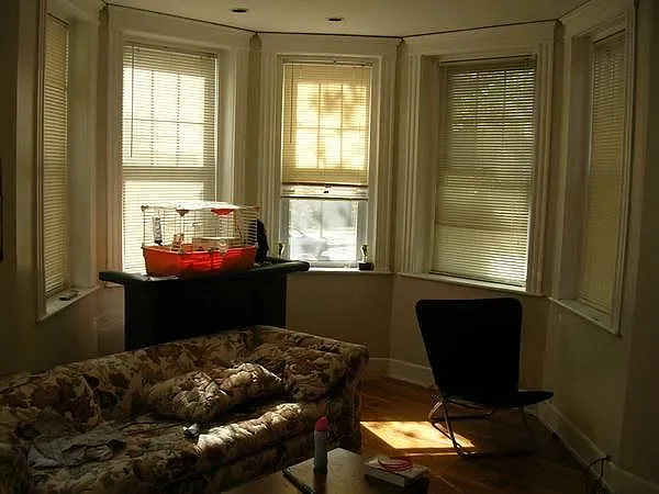 215 Park Dr #1 — Photo 6