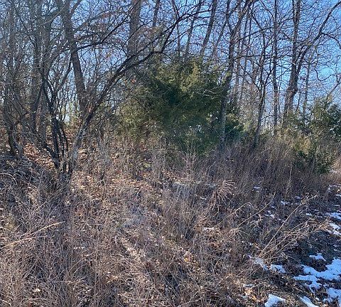5th image of LOT 32 Country Club Dr