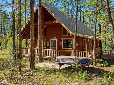 2890 Wildcat Trl, Overgaard, AZ, 85933