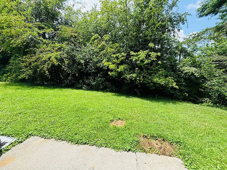 328 Shenandoah Cir — Photo 16