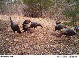 500 Warm Springs Rd, Warm Springs, AR 72478