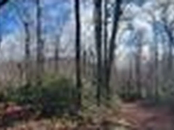 17 N Deer Run, Black Mountain, NC 28711