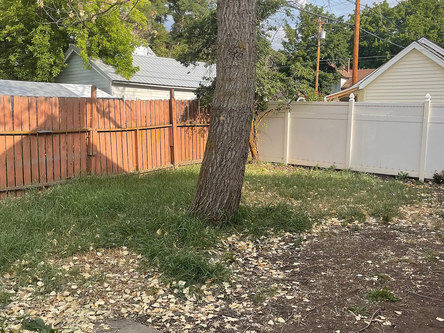 2 bed, $1,375 — Photo 3