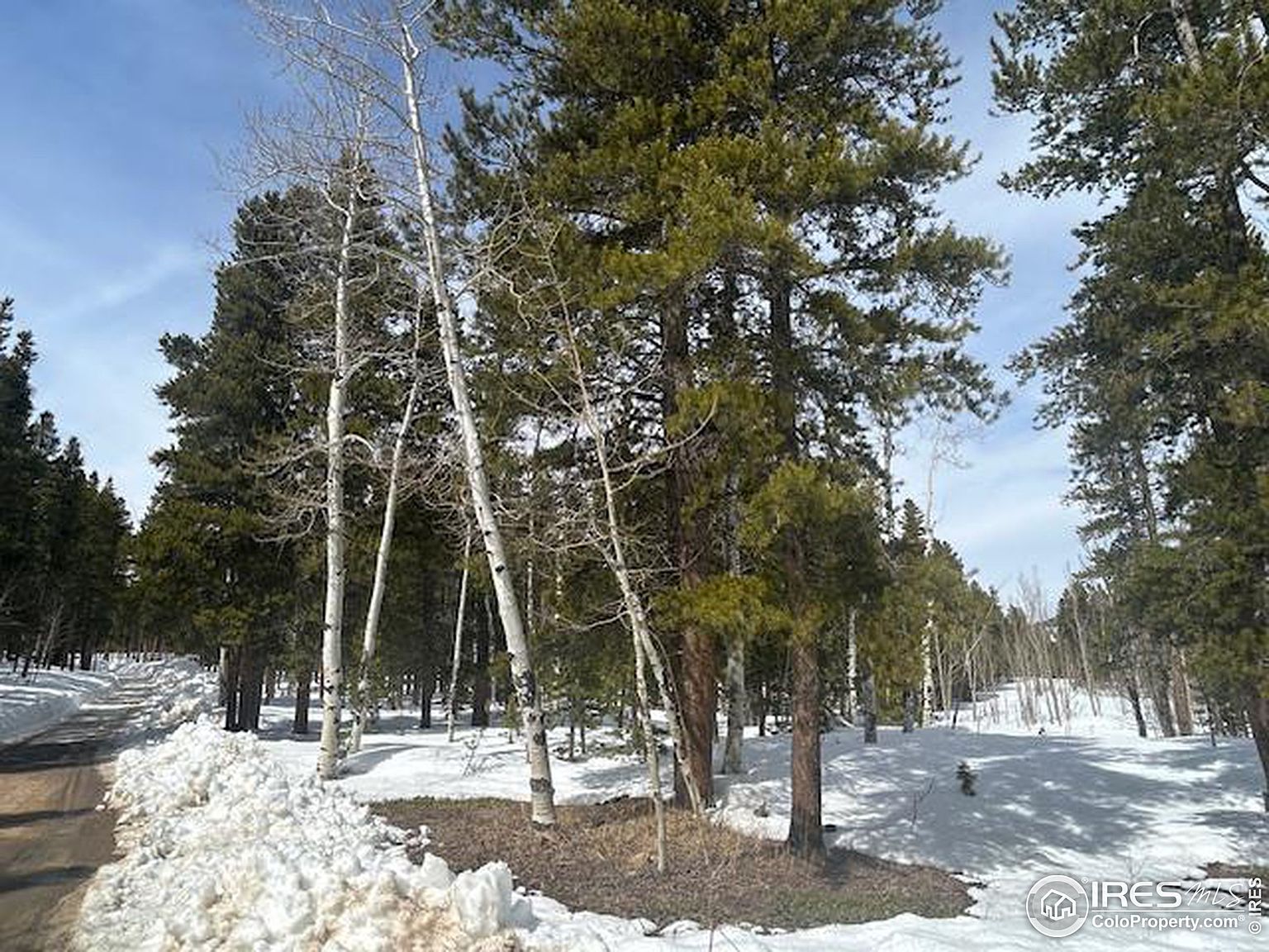 435 N County Rd, Rollinsville, CO 80474 MLS 1005895 Zillow