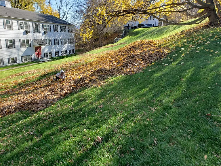 449 Canisteo St #301 — Photo 9